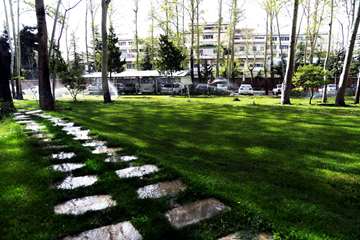 بهار در قاب دانشگاه علوم بهزیستی و توانبخشی